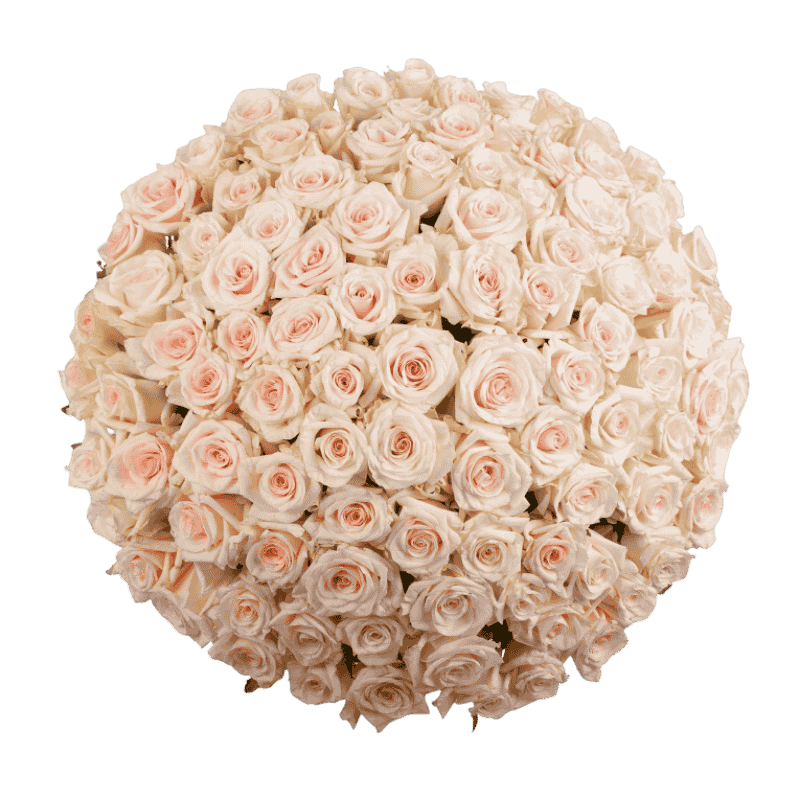 Gardenija bouquet